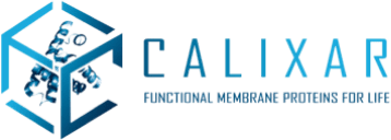 634fc828ac1ff24cb2f9dc7a_calixar